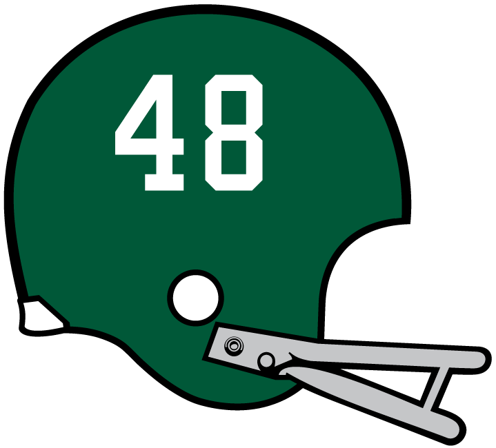 Miami Hurricanes 1971 Helmet Logo DIY iron on transfer (heat transfer)